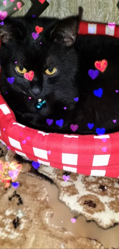 Black cat in heart-themed red basket on a checkered blanket.