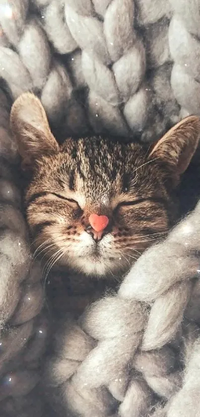 Cute cat sleeping in a fluffy, gray knit blanket for mobile wallpaper.