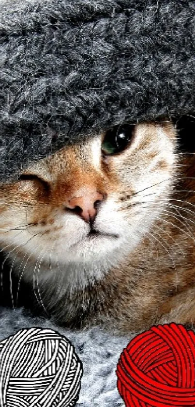 Cat wearing a knitted hat on a blanket with yarn balls.