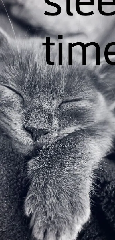 Cozy cat sleeping peacefully in gray blanket.