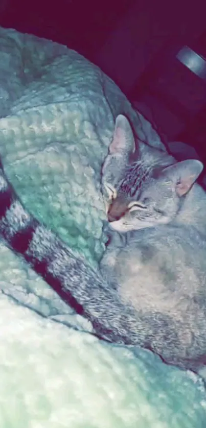 Cozy cat resting on a green blanket.