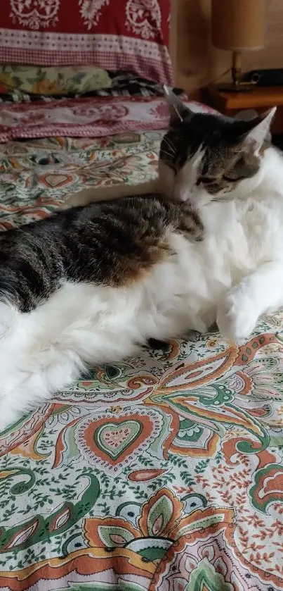 A cat relaxing on a colorful, patterned bedspread.