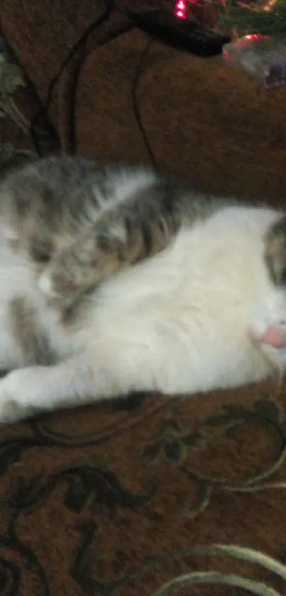 Cozy cat asleep on a brown decorative sofa.