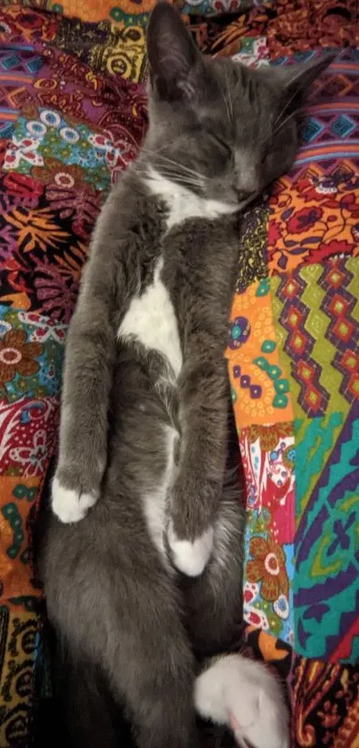 Gray cat sleeping on colorful quilt pattern.