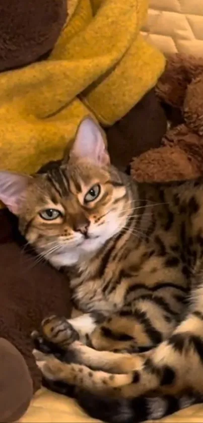 Cozy striped cat resting on a brown plush quilt in a serene setting.