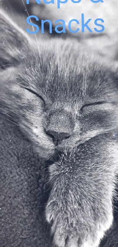 Adorable kitten sleeping on a fluffy blanket with 'Naps & Snacks' overlay.