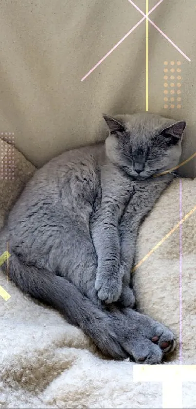 Gray cat resting on beige chair in a calm setting.