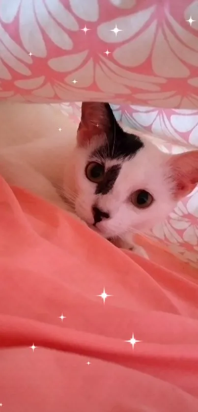 Cat peeks from under pink floral blanket, creating a cozy scene.