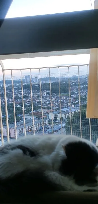 Cozy cat resting by a window with a city view.