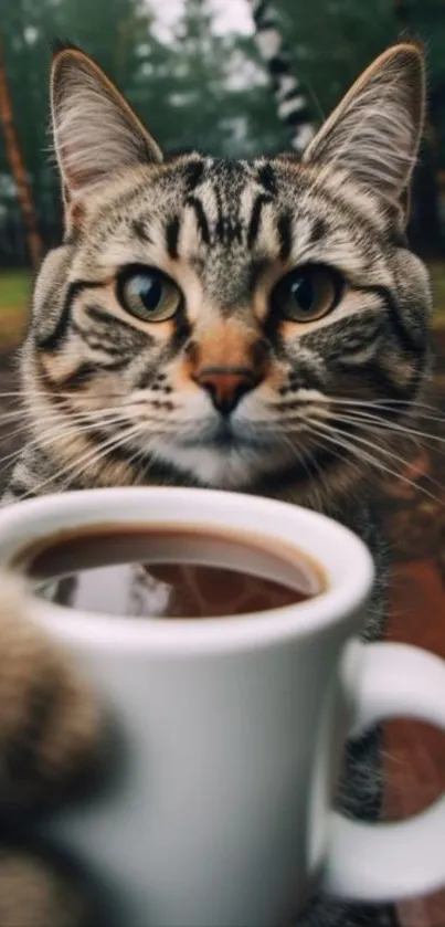 Curious cat with coffee cup in nature.
