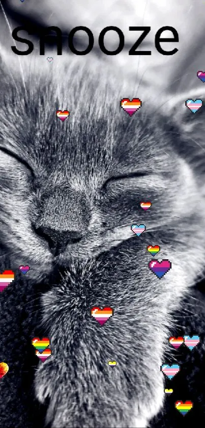 Cozy gray cat with colorful hearts pattern.