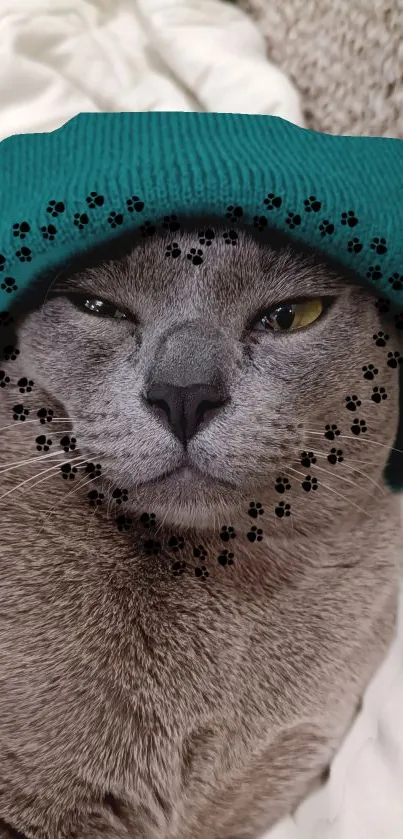 Cute cat wearing a green hat with cozy expression.