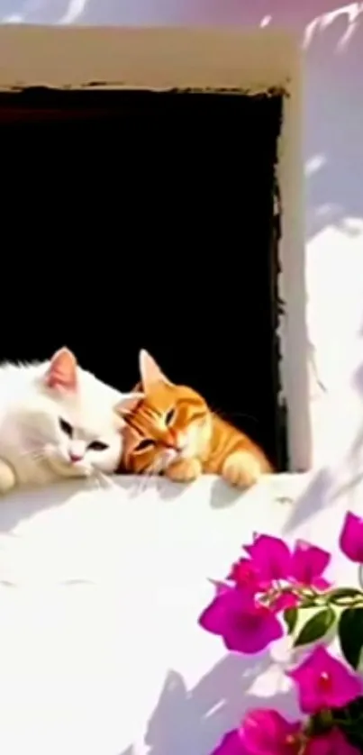 Two cats relax by a sunny window with vibrant flowers beneath.