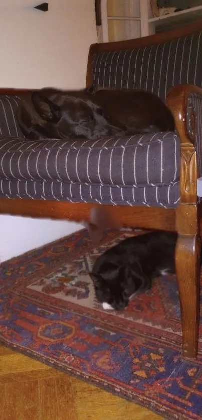 Two black cats lounging on a vintage striped chair.