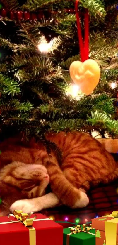 Sleeping cat under Christmas tree with lights.