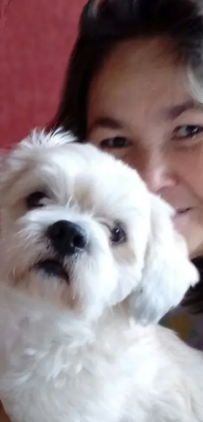 Fluffy white dog cuddle with smiling person against a light pink backdrop.