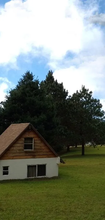 Cozy cottage nestled in lush green meadow under blue sky.