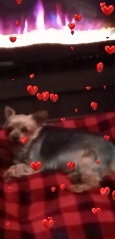 Cute dog on red plaid blanket by a glowing fireplace with heart overlays.