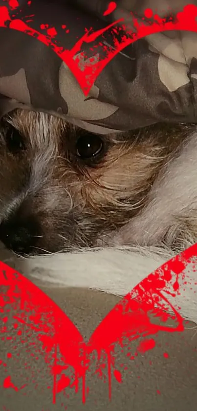 Cozy dog nestled with heart design overlay, perfect for phone wallpaper.