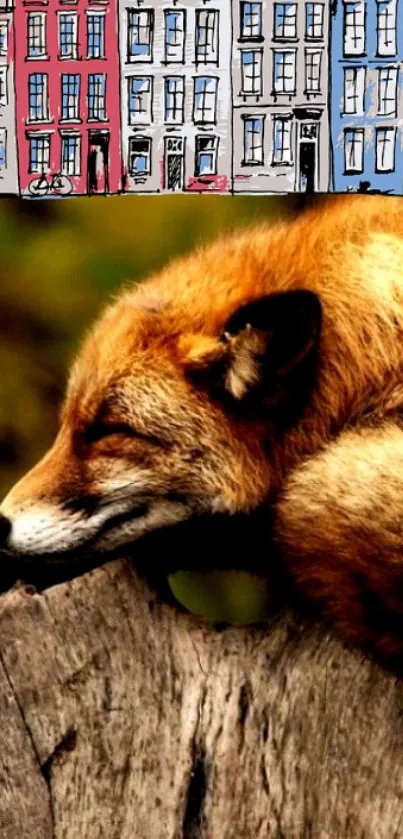 Peaceful fox resting with an artistic city backdrop.