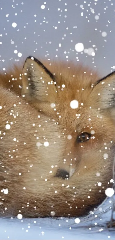 A cozy fox curled up in the snow amidst a serene winter landscape.