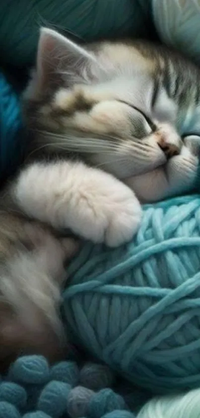 Cute kitten sleeping among colorful yarn balls.