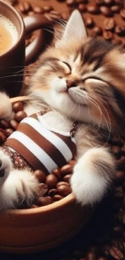 Cute kitten resting in a cup surrounded by coffee beans.