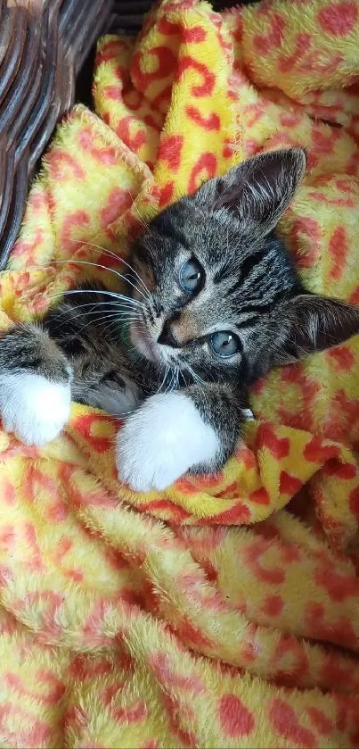 Adorable kitten wrapped in a vibrant orange blanket with cute expression.