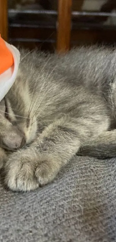 A sleeping kitten wearing an orange hat on a soft surface, perfect for wallpaper.