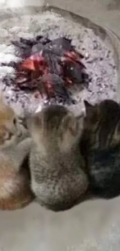 Three kittens by a cozy fire, laying closely together.