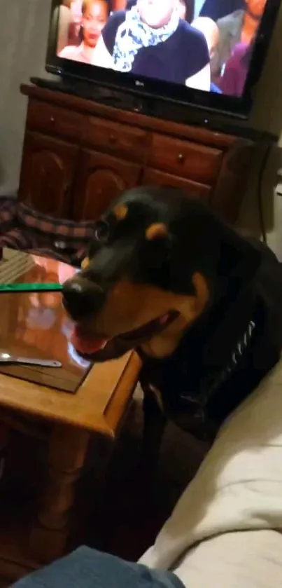 Dog standing by a wooden table in a cozy living room.