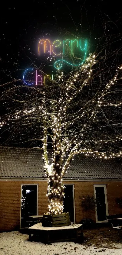 Tree wrapped in lights during a snowy winter night.