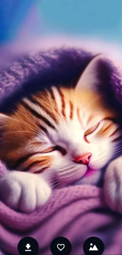 Cozy kitten sleeping under a purple blanket.