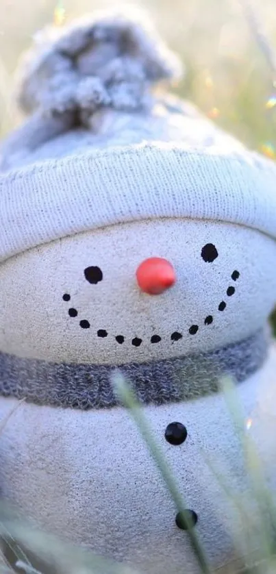 Cozy snowman with a hat and scarf in frosty grass, smiling gently.