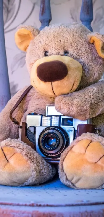 Teddy bear with camera on chair, magenta orchids beside.
