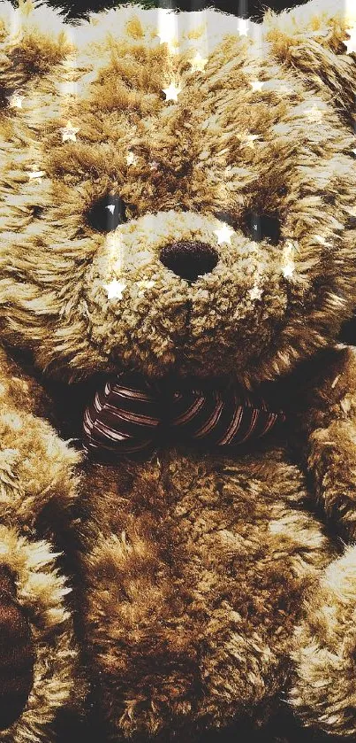 Cozy teddy bear sitting on a stone path.