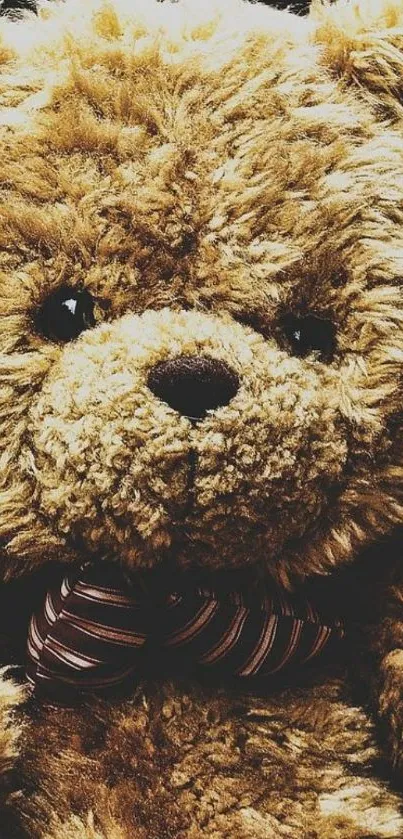 Cozy brown teddy bear with a fluffy texture.