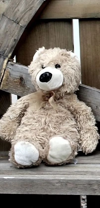 Cozy teddy bear sitting on a rustic wooden bench.