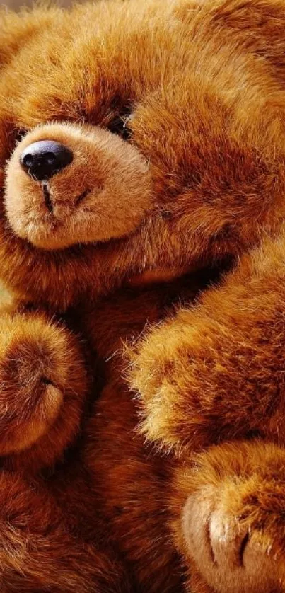 Warm and cozy teddy bear mobile wallpaper.