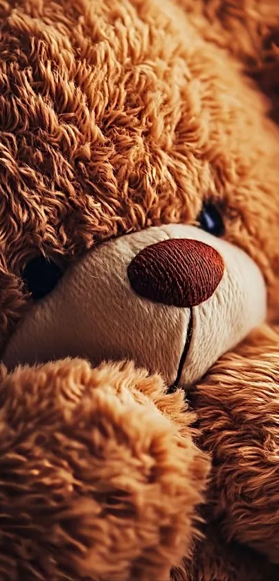 Close-up of a cozy teddy bear