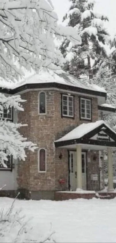 Snowy winter cabin in serene nature.