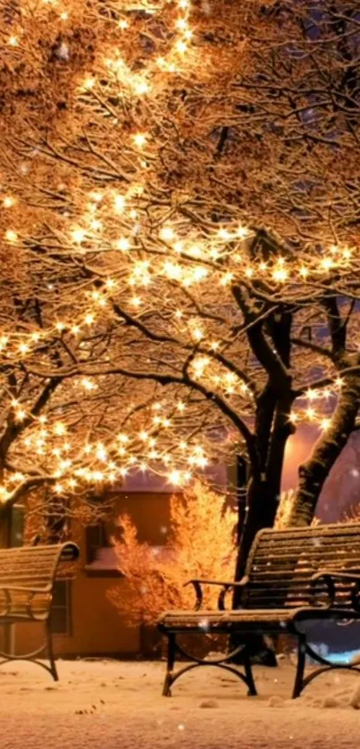 Cozy winter scene with illuminated trees and snow-covered benches.