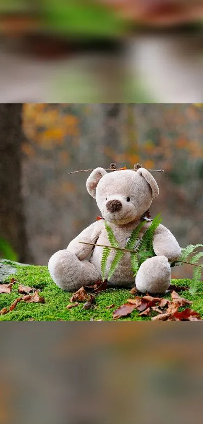 Teddy bear resting on green moss in a serene woodland setting.