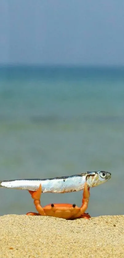 Crab balancing fish on sandy beach with ocean background.