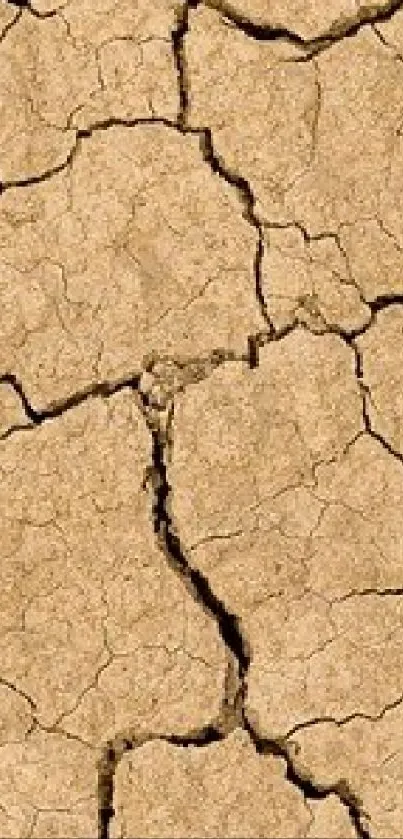 Cracked earth mobile wallpaper with dry soil texture.