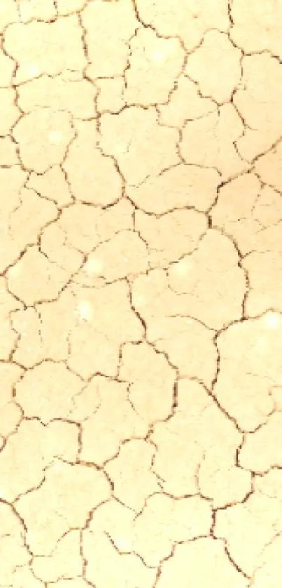 Cracked, dry earth texture wallpaper with beige tones.