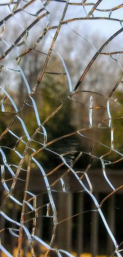 Cracked glass wallpaper with a broken pattern.