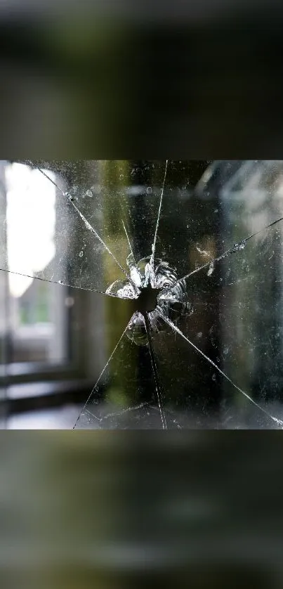 Cracked glass with reflections creating artistic patterns.