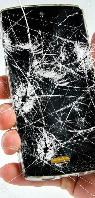 Hand holding a phone with a cracked screen on a white background.