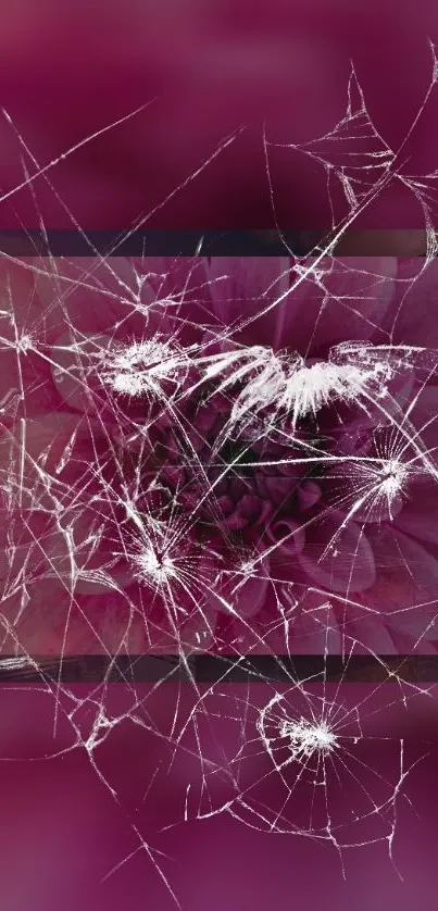 Cracked pink flower wallpaper with intricate patterns.